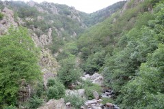 IMG_2850
