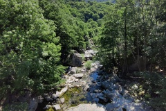 IMG_20210625_113902
