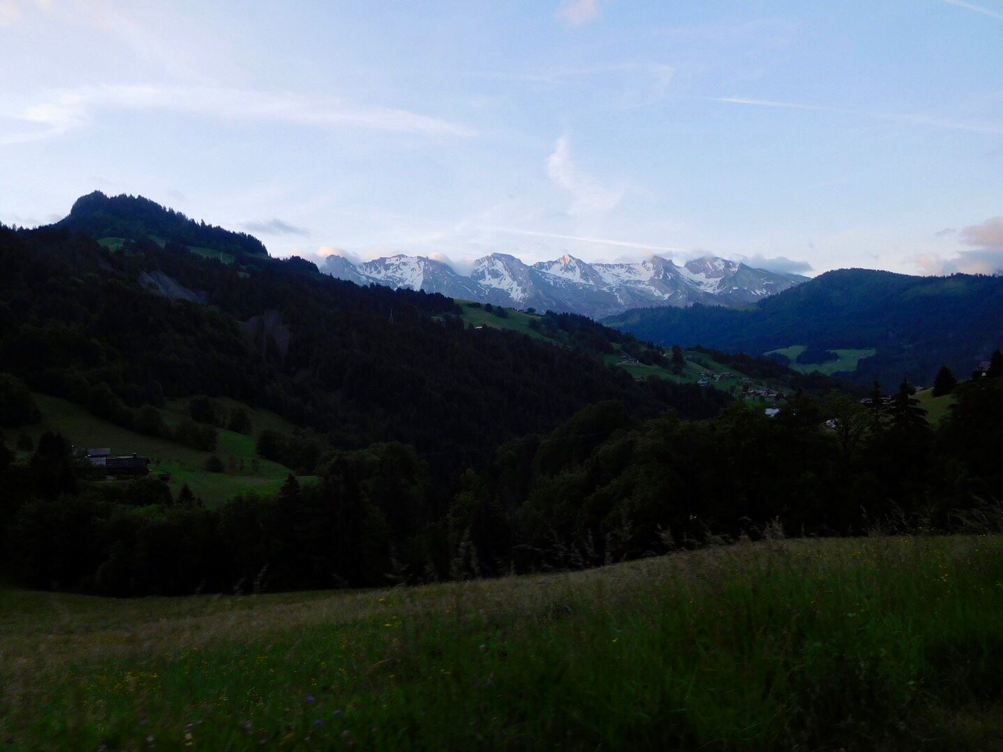 PetitMatin