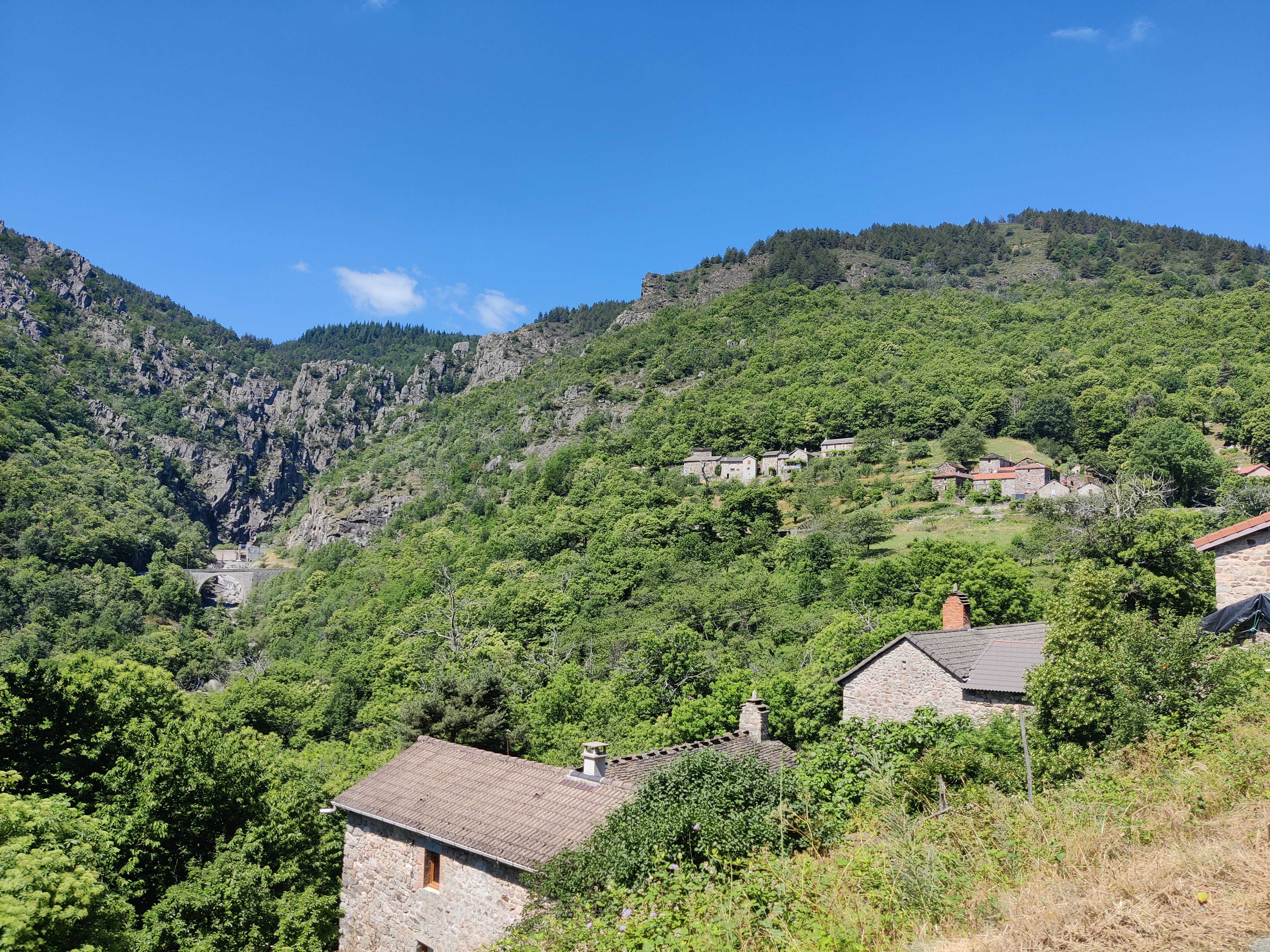 IMG_20210625_114559