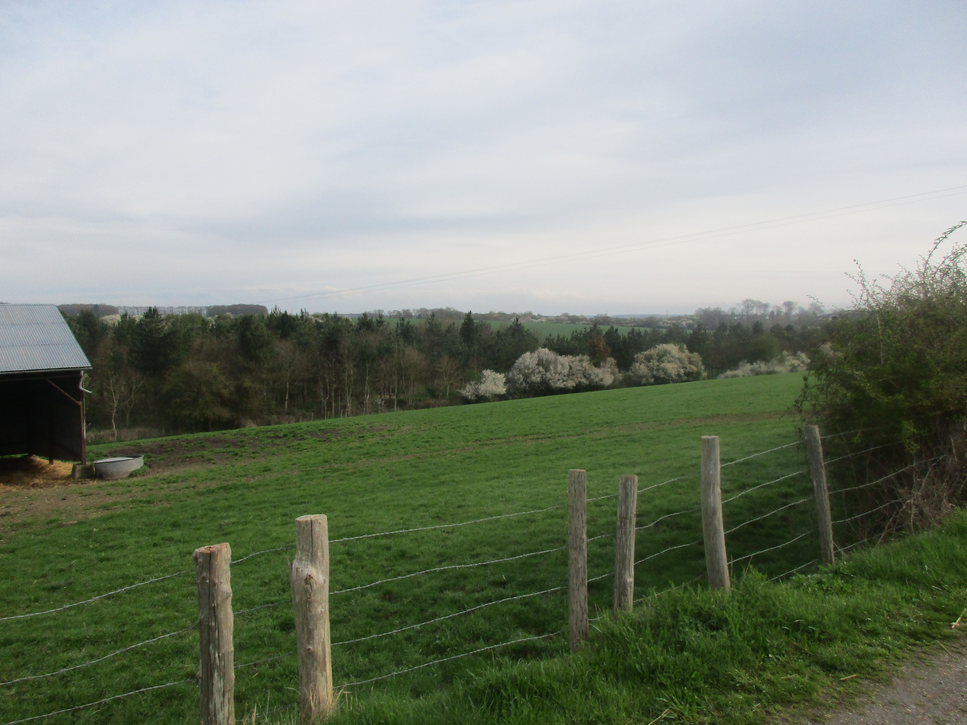brm_longjumeau_2018_6