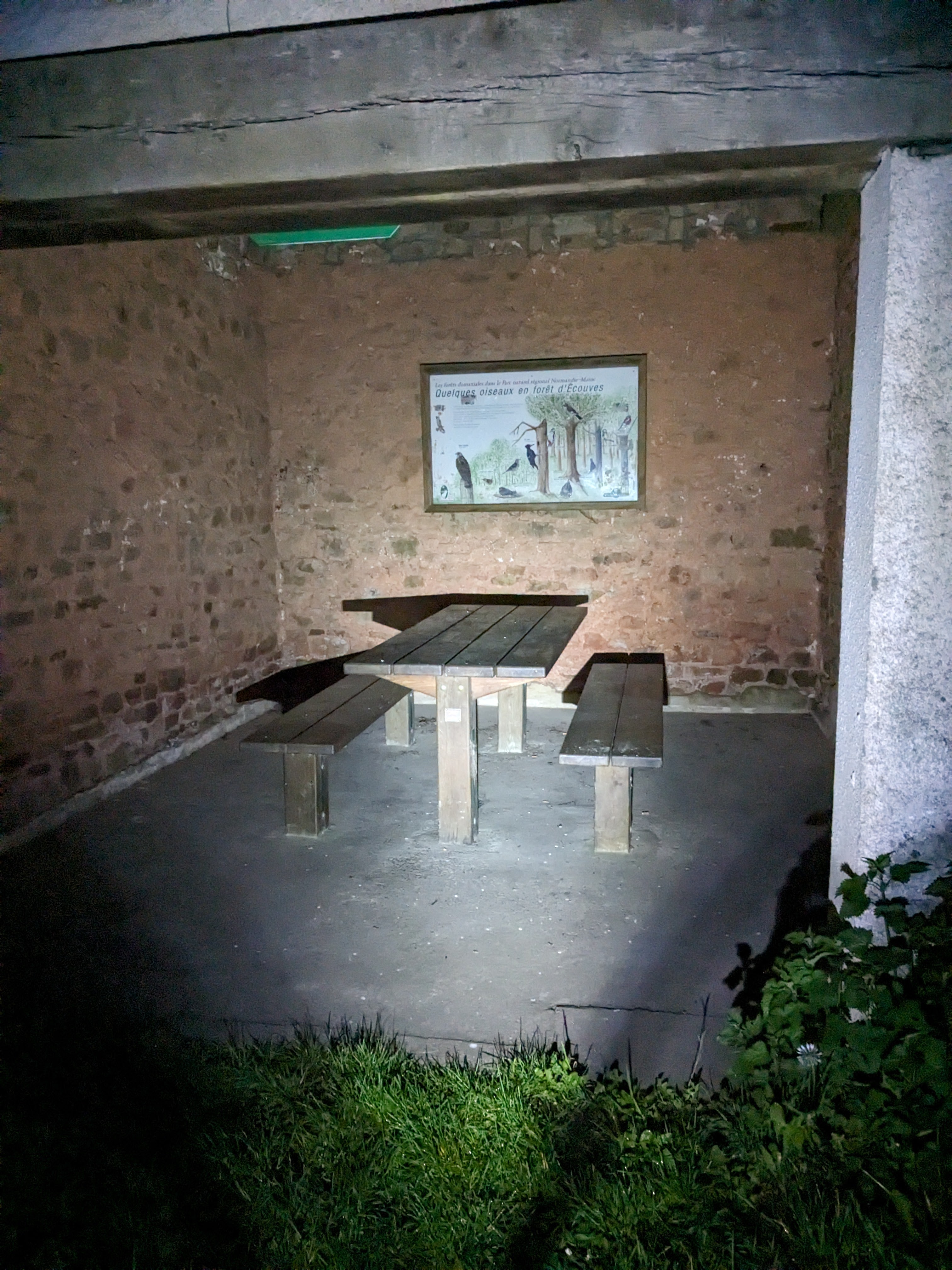 PXL_20240505_032521039.MP_