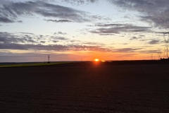 IMG_1256