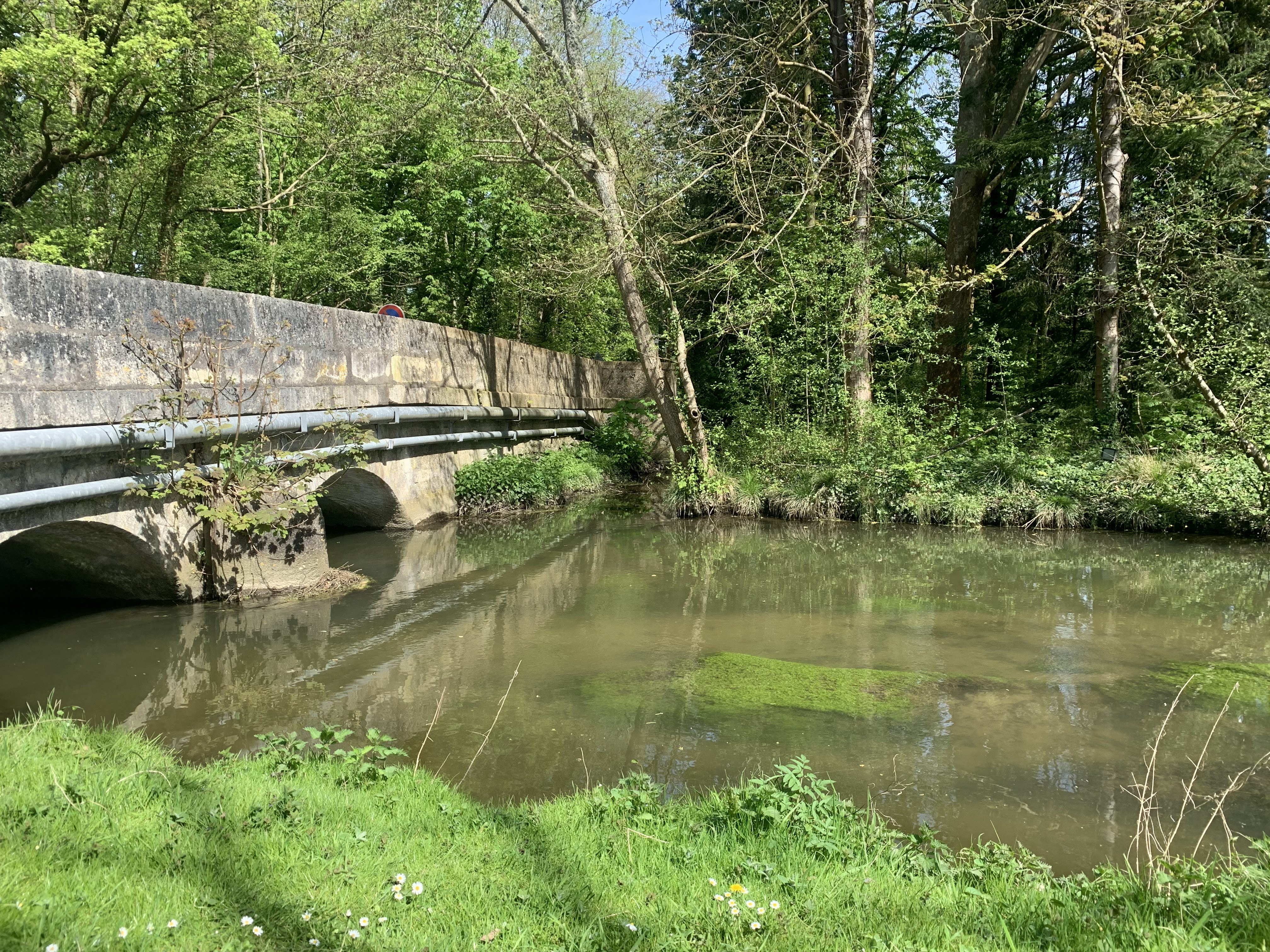 131AC657-4C72-49F3-809A-E613AFF12B6C