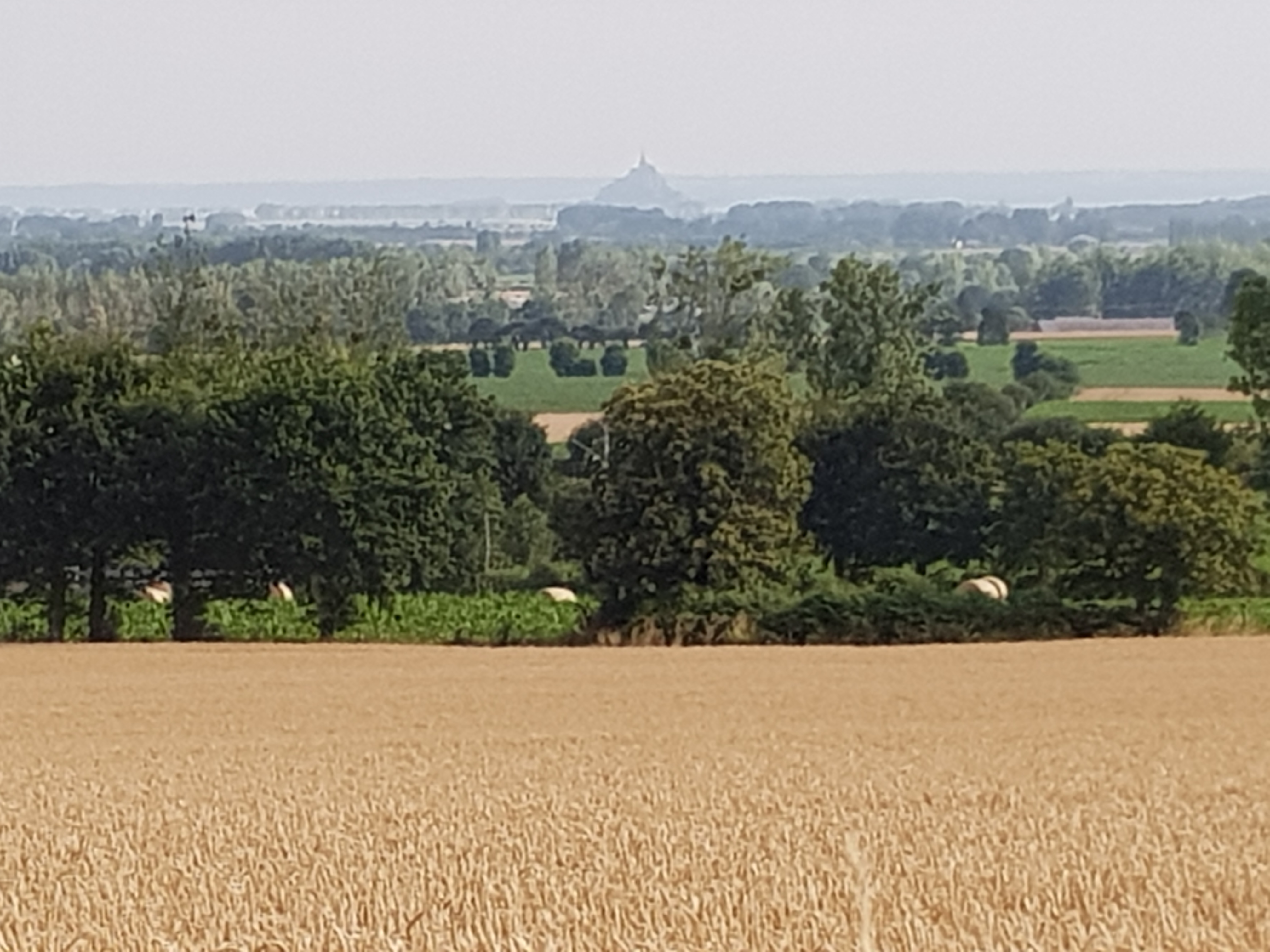 20190711_093302