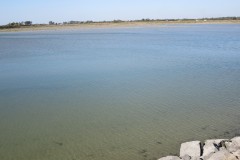 IMG_2645