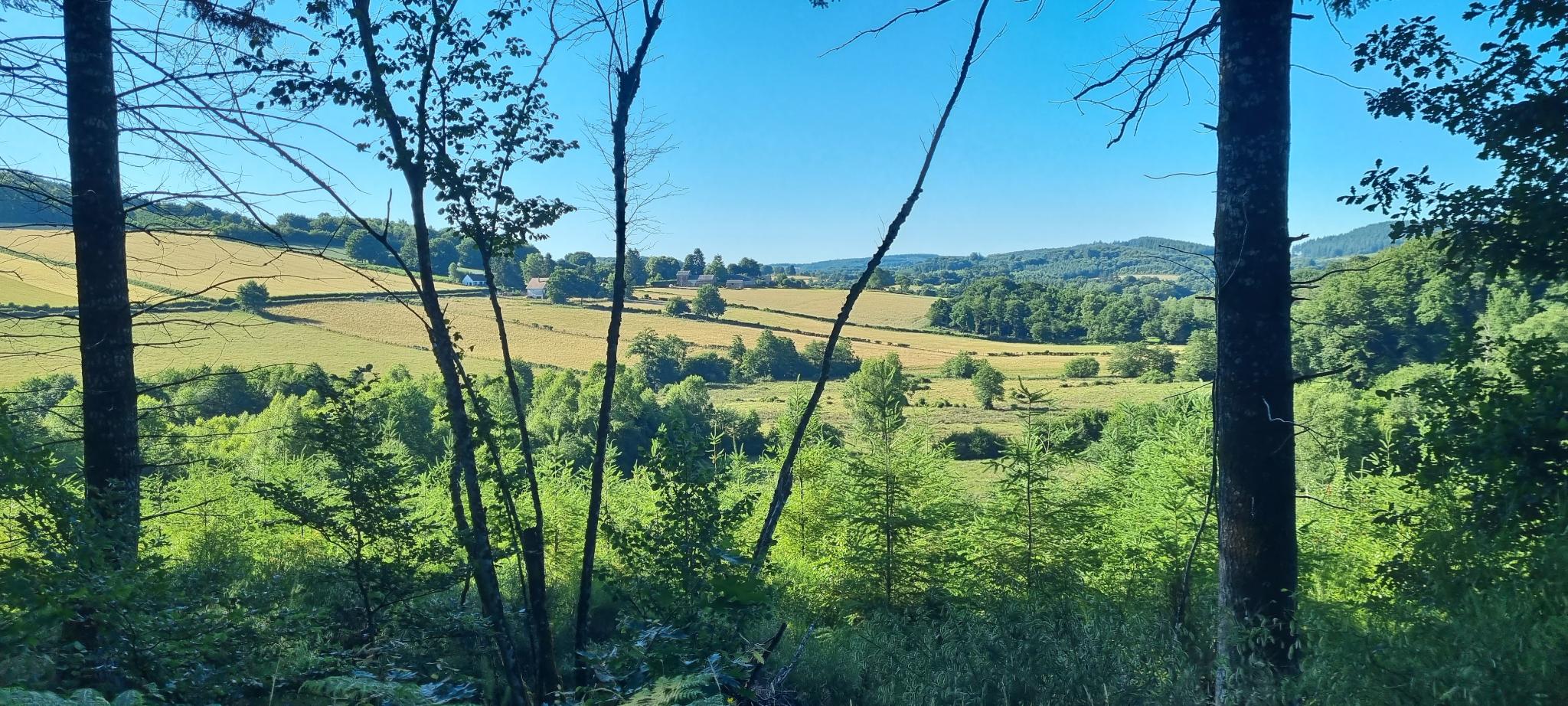 morvan1
