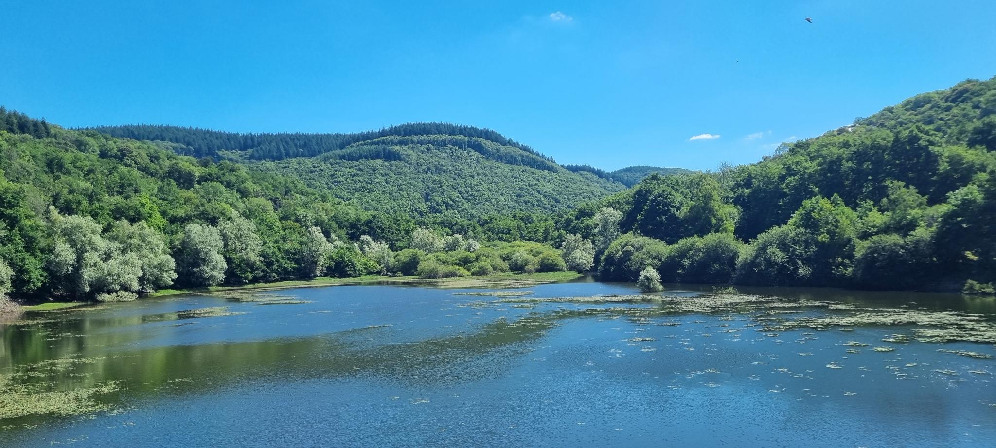 morvan2