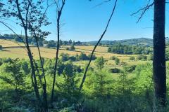 morvan1