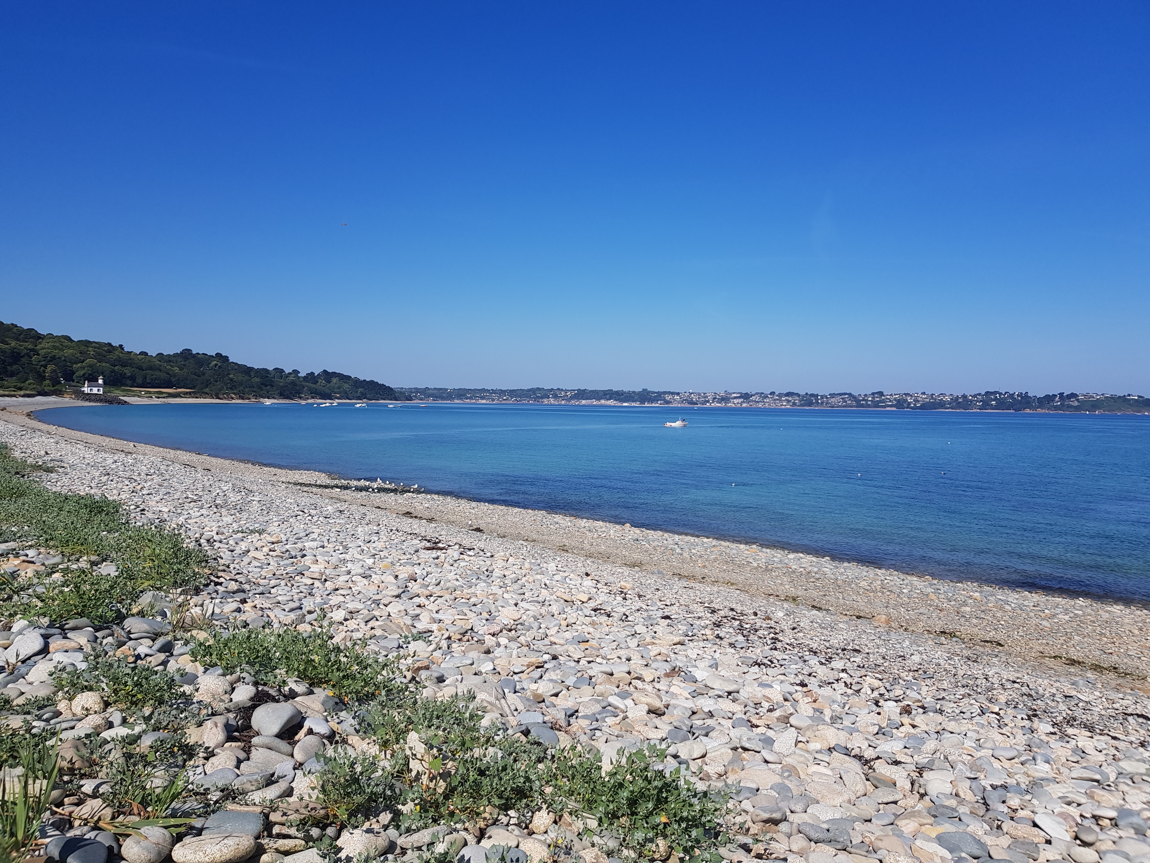 20190709_105953