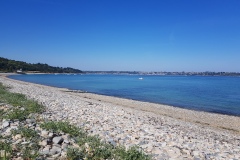 20190709_105953