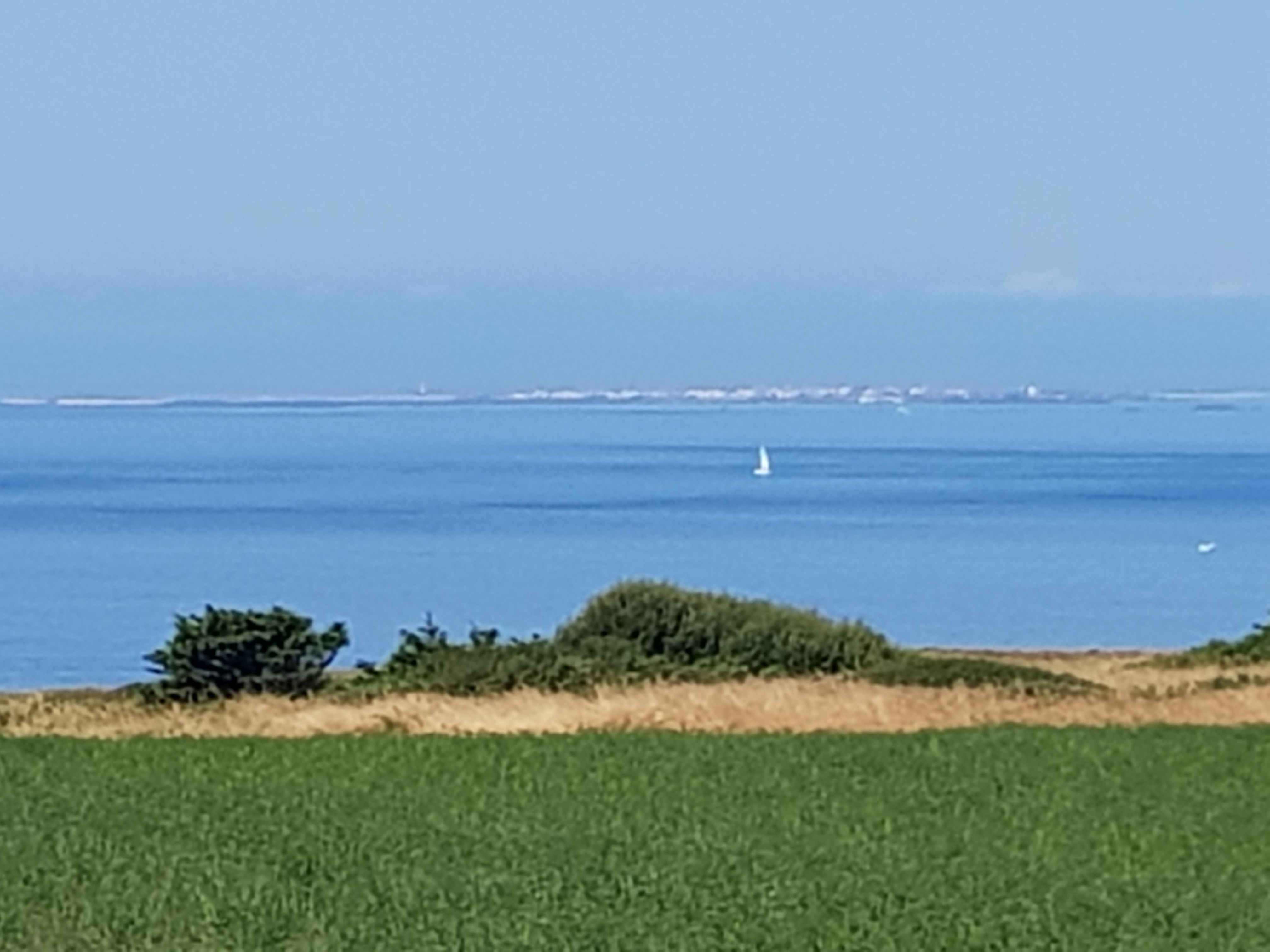 20190716_113418