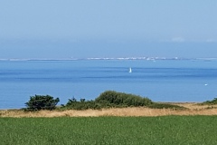 20190716_113418