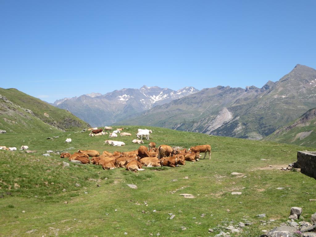 IMG_1480