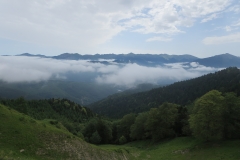 IMG_1545
