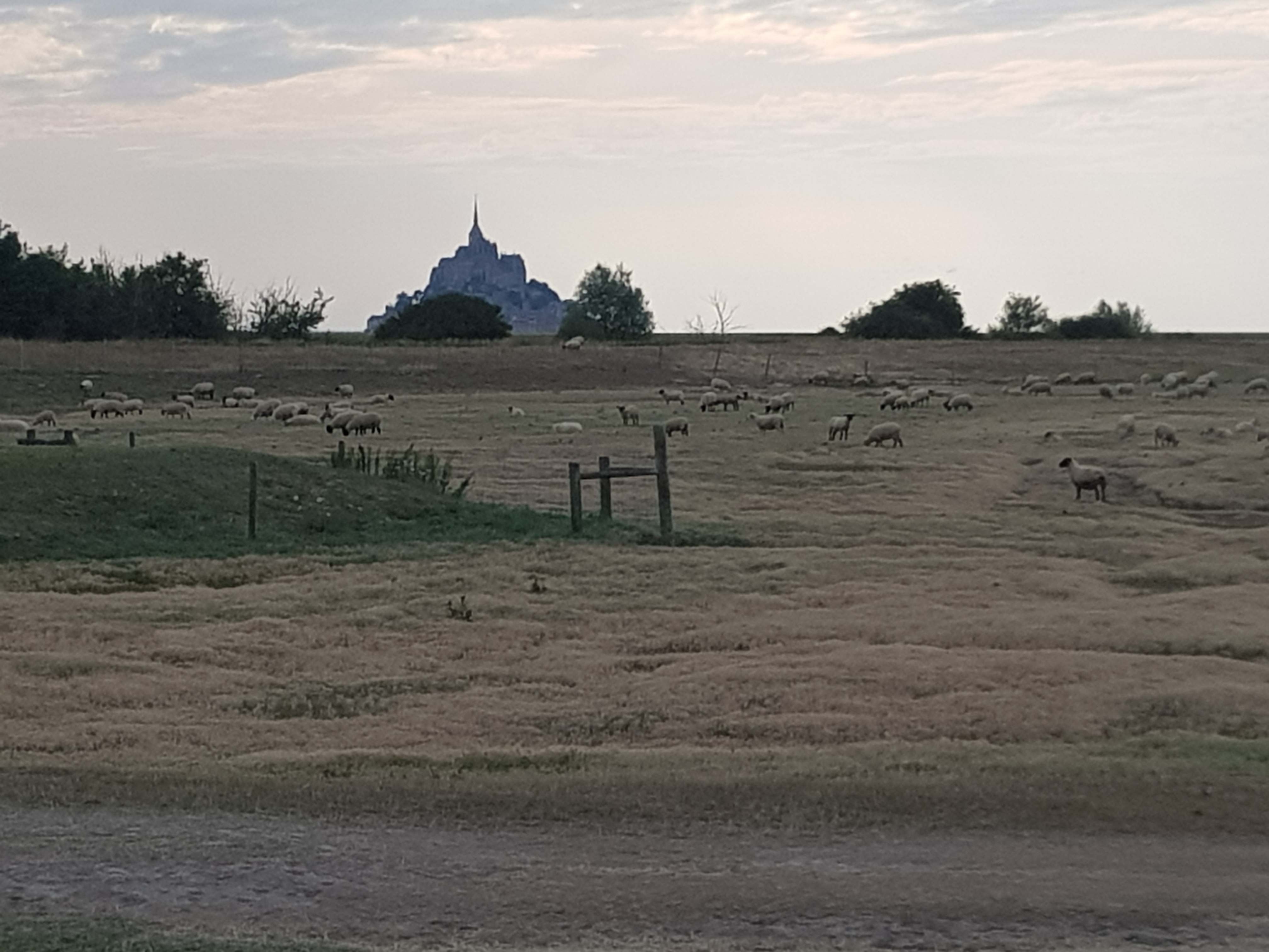 20190803_190518