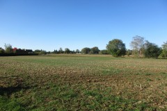 IMG_1094