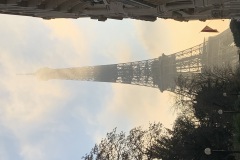 IMG_6448